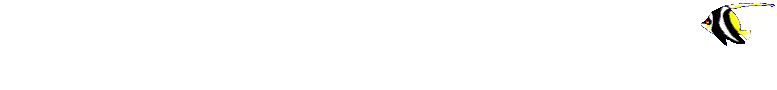 swimming fish