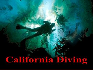 california scuba diving liveaboard trips